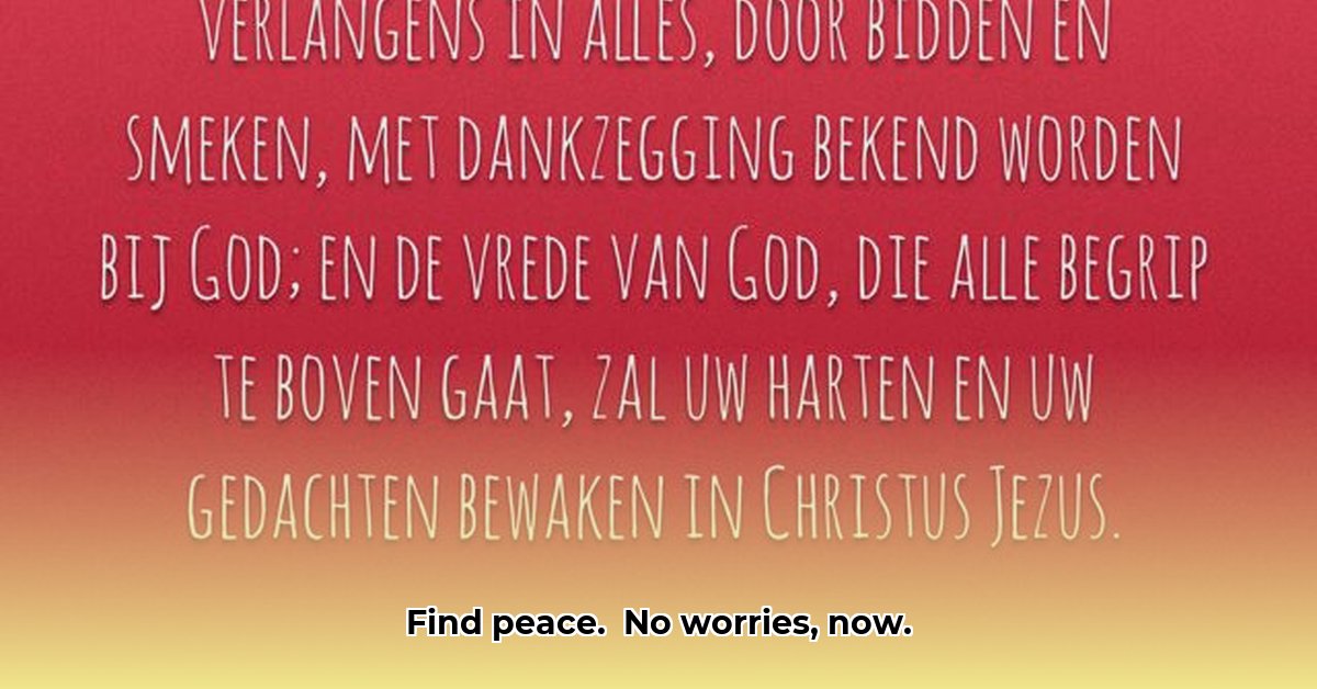 wees-in-geen-ding-bezorgd